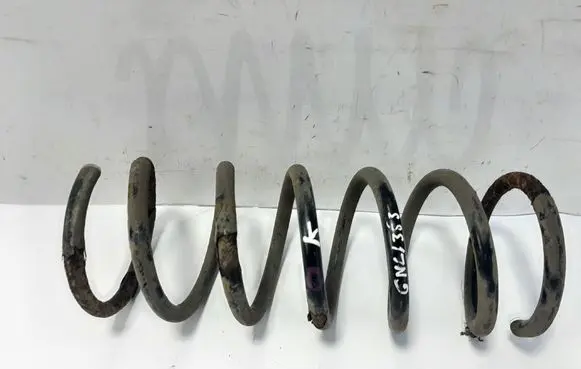 Rear coil spring