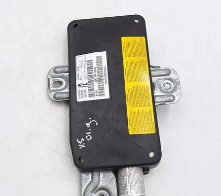 BMW X5 E53 Front door airbag 34824861203L