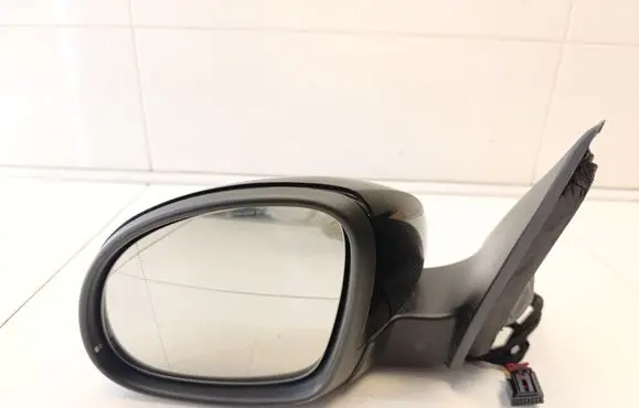 Volkswagen Tiguan Front door electric wing mirror E1030103