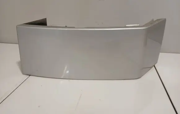 Rear/tail light trim molding