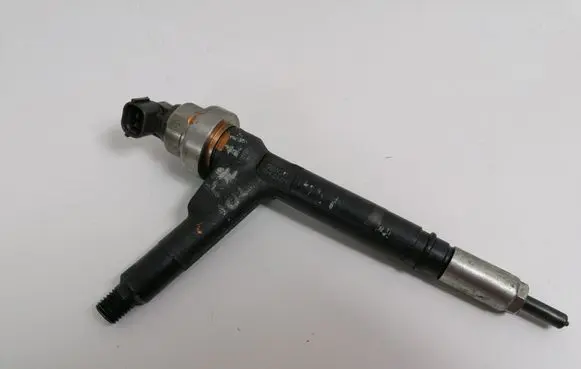 Opel Zafira B Fuel injector 8973138613