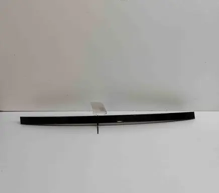 BMW X5 F15 Rear door glass trim molding 7289657