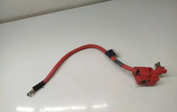 BMW 5 GT F07 Positive cable (battery) 9217034