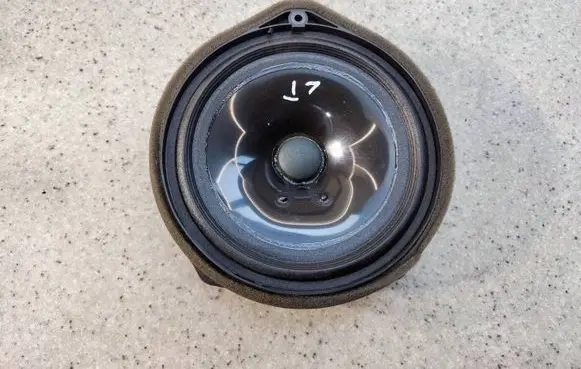 Front door speaker
