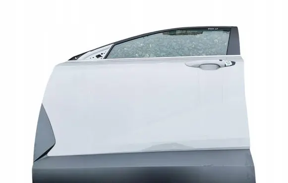 Hyundai Kona II Front door