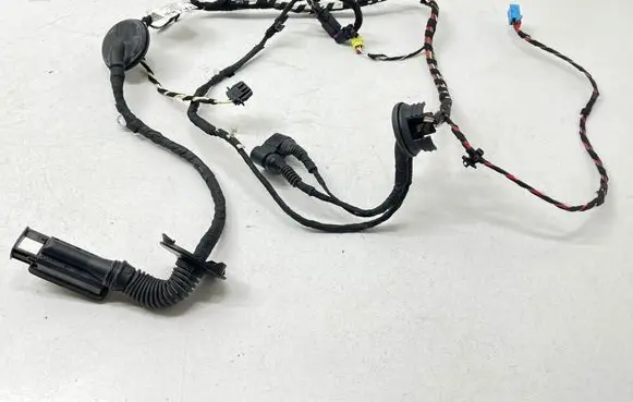 Front door wiring loom