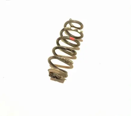 Nissan X-Trail T32 Rear coil spring