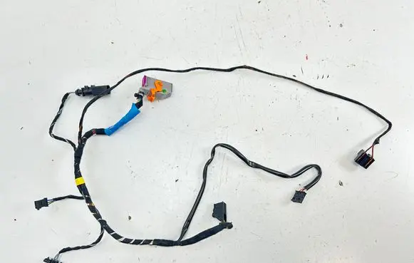 Front door wiring loom