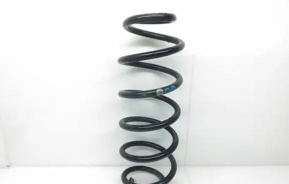 Volkswagen New Beetle Rear coil spring