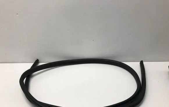 Ford Ecosport Front door rubber seal 