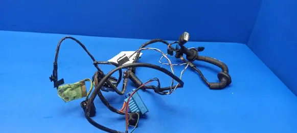Rear door wiring loom