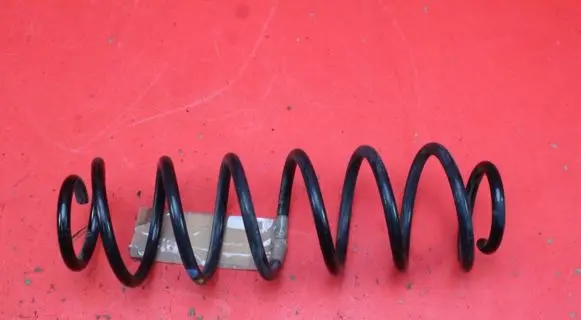 Skoda Fabia Mk3 (NJ) Rear coil spring