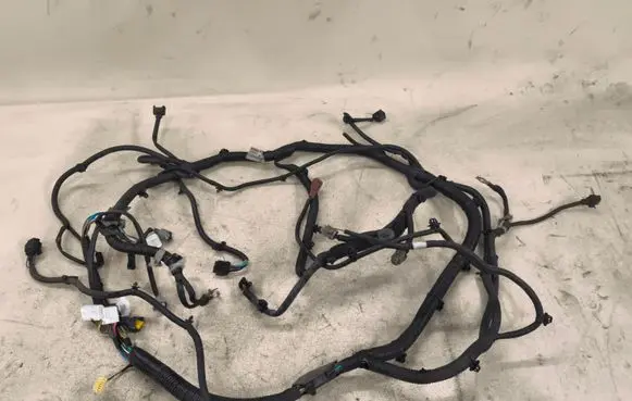 Nissan Murano Z52 Other wiring loom 240239UF0A04