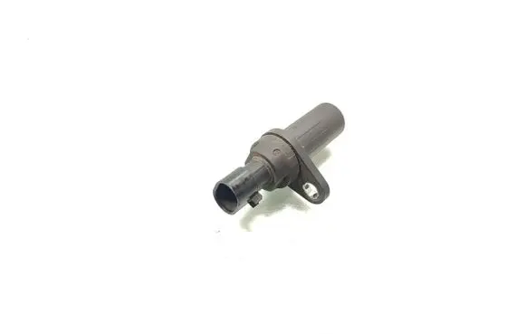 Fiat Punto (199) Crankshaft position sensor 55229700
