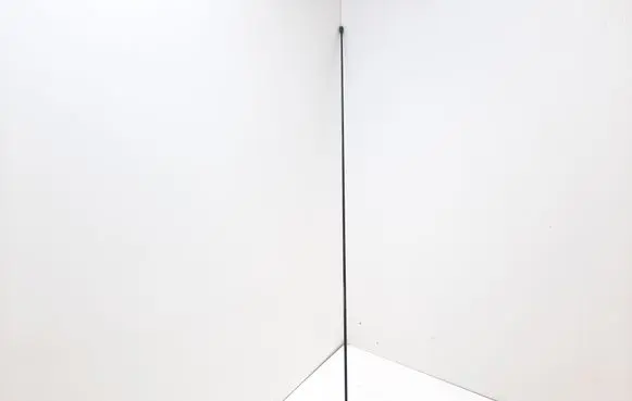 Renault Trafic III (X82) Radio antenna 