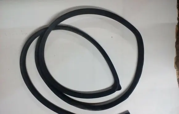 Opel Antara Front door rubber seal