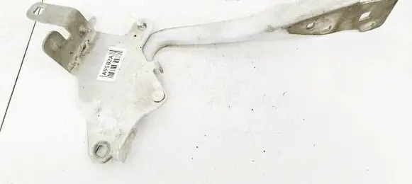 Engine bonnet/hood hinges