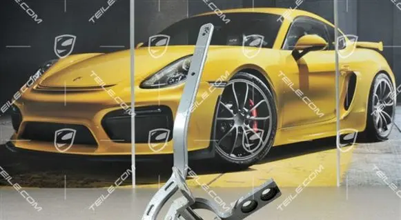 Porsche Cayenne (9PA) Tailgate/trunk/boot hinge 95551230200