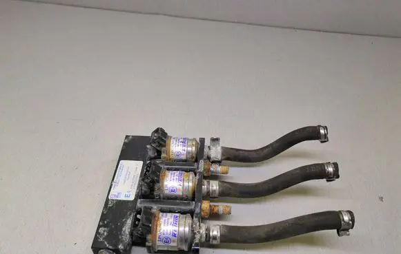 Hyundai Santa Fe LP gas injector 67R010093 110R000021