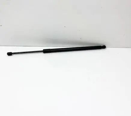 Ford Escape III Tailgate/trunk strut/damper LJ6BS406A11AC