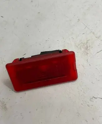 Tesla Model S Front door interior light 100715270E 4032017