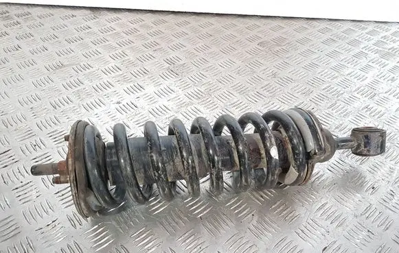 Nissan Pathfinder R51 Front shock absorber with coil spring 