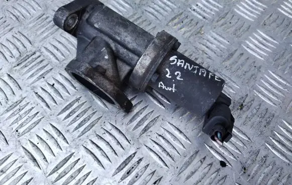 Hyundai Santa Fe EGR valve