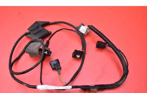Other wiring loom