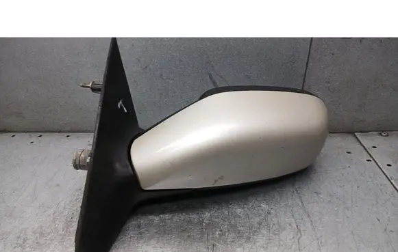 Renault Laguna II Front door electric wing mirror 
