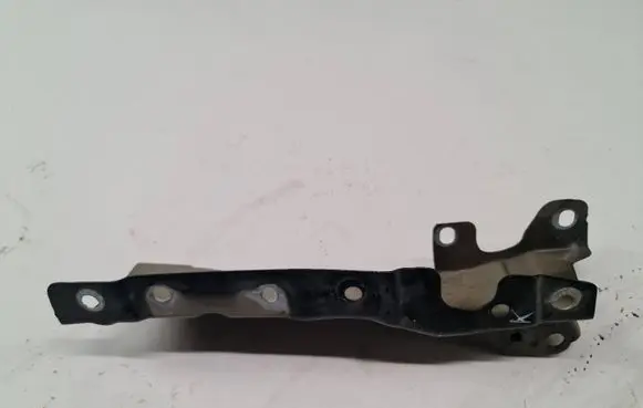 Renault Scenic II - Grand scenic II Front splash guards bracket 494F