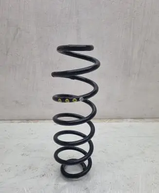Skoda Octavia Mk2 (1Z) Rear coil spring