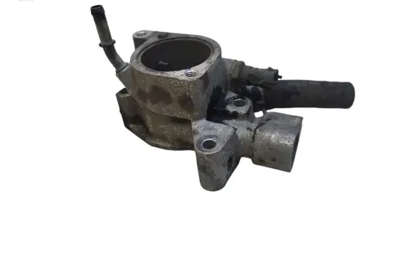 Thermostat/thermostat housing