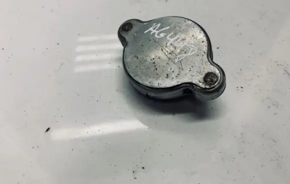 Nissan Qashqai Coolant expansion tank/reservoir cap 