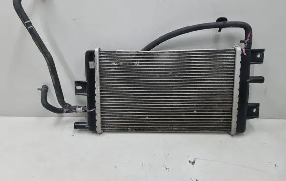 Dacia Spring Coolant radiator 1301051BBG 1301031BBG