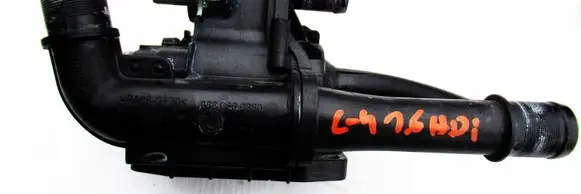 Thermostat/thermostat housing