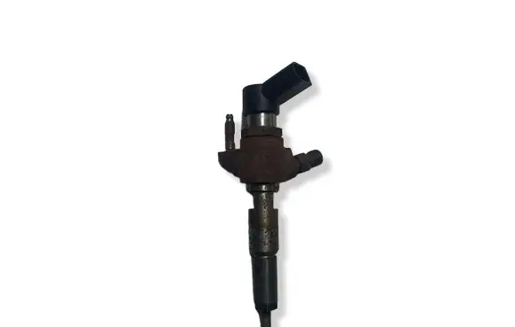 Citroen C4 II Picasso Fuel injector A2C59513556