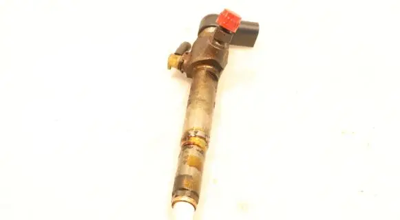 Renault Megane II Fuel injector