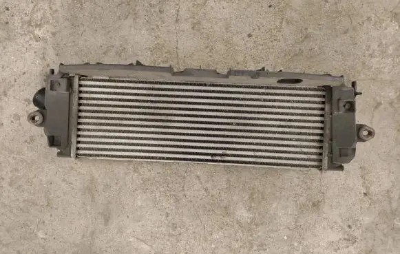 Renault Trafic II (X83) Intercooler radiator 8200411160C 988650BB 93854162