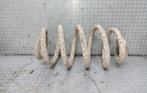 Rear coil spring
