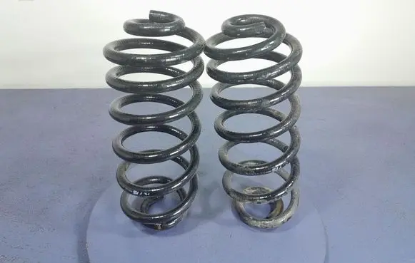 Rear coil spring