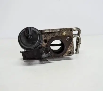 EGR valve