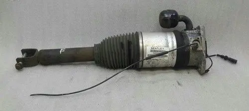 Bentley Continental Rear shock absorber with coil spring 3W0616001B