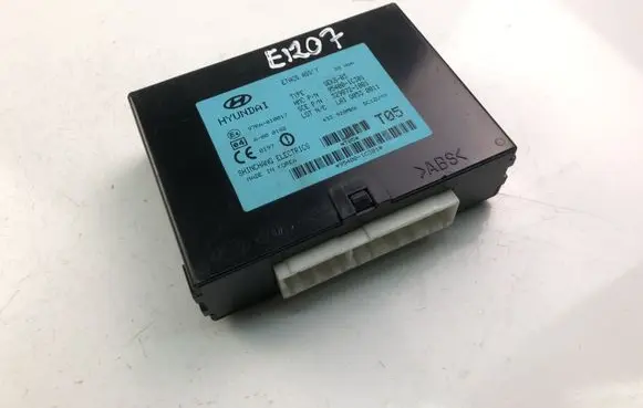 Hyundai Getz Other control units/modules 954001C301