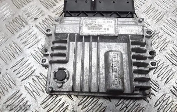 KIA Venga Engine control unit/module 391302a300