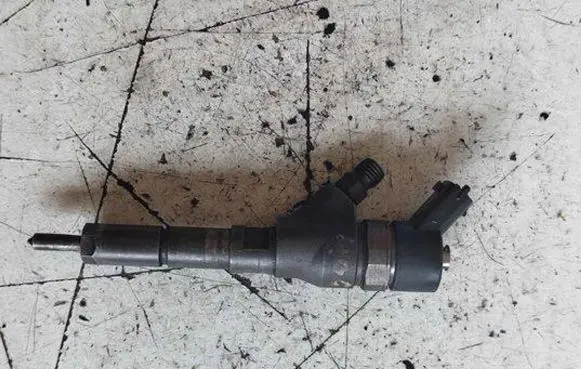 Citroen C5 Fuel injector 0445110062