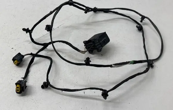 Other wiring loom