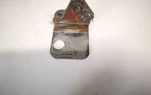 Rear door lower hinge