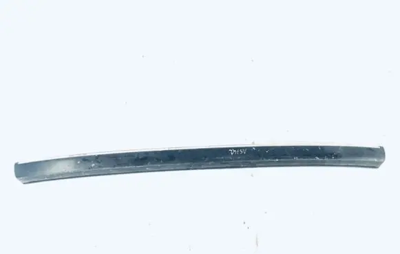 Rear bumper trim bar molding