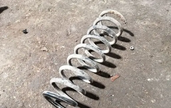 Rear coil spring