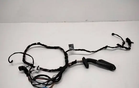 Front door wiring loom